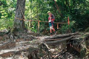 BIB: 
                            <button type="button" onclick="openModal(27800903)" class="btn btn-primary btn-sm float-right btn-popup" data-toggle="modal" data-target=".modal-high-quality">
                        <i class="fas fa-shopping-cart"></i> Add to Cart
                    </button>
                                            <button type="button" onclick="isThisMe(27800903, true)" class="btn btn-success btn-sm float-right btn-popup btn-isme hidden" data-toggle="tooltip" data-placement="bottom" title="นี่คือรูปของคุณใช่ไหม คลิกที่นี่เพื่อเอาเข้าอัลบั้ม">
                        <i class="fas fa-plus"></i> Add to album
                    </button>
                    <button type="button" onclick="isThisMe(27800903, false)" class="btn btn-warning btn-sm float-right btn-popup btn-isnotme hidden">
                        <i class="fas fa-ban"></i> Remove from album
                    </button>